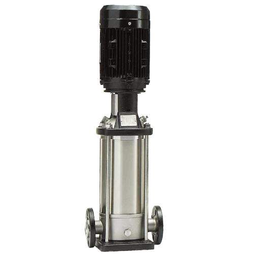 首页|尊龙集团中国官方网站